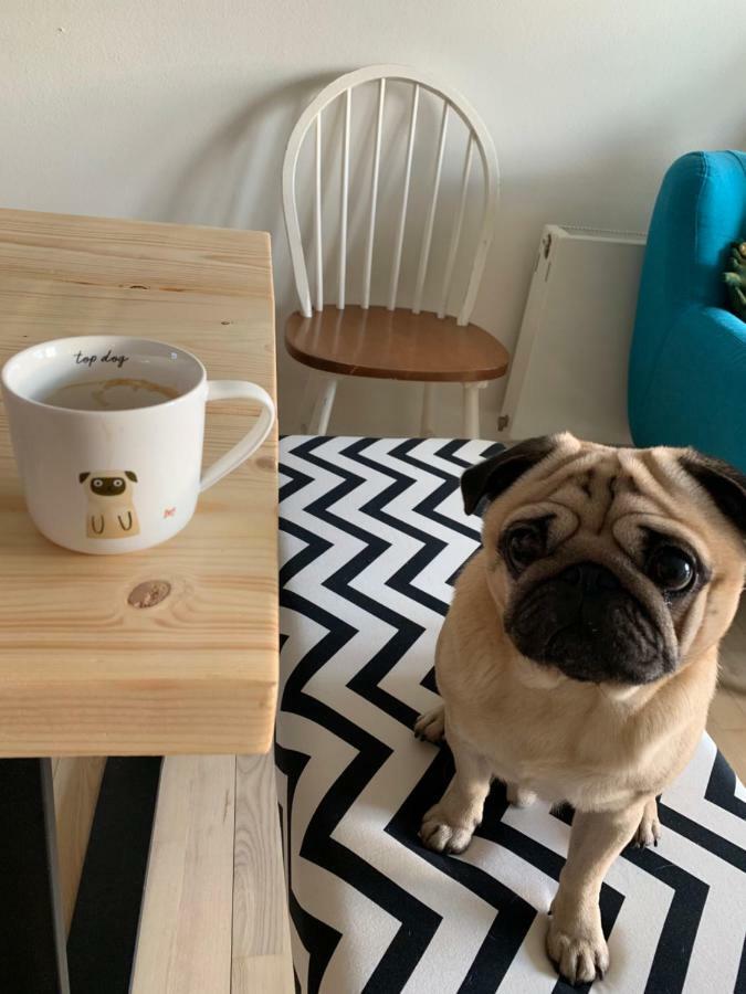 Cute Pug Guest Room Copenaghen Esterno foto