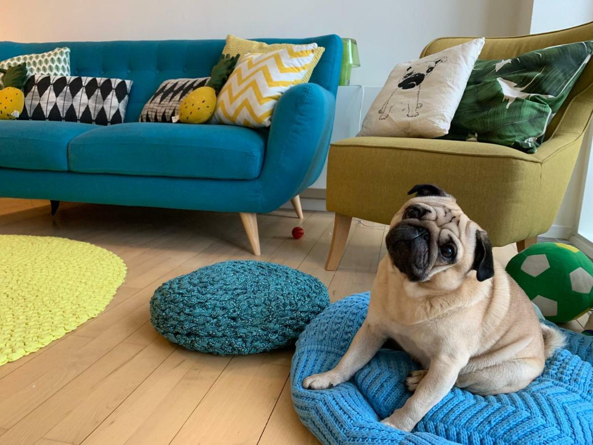 Cute Pug Guest Room Copenaghen Esterno foto